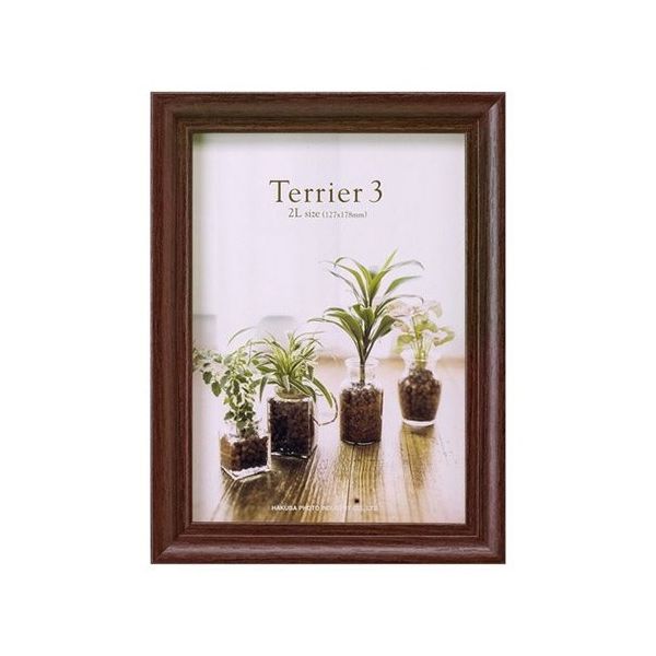 ハクバ写真産業 フォトフレーム テリア3 2Lサイズ 1面 ブラウン FWTR3-BR2L1 1個 62-9752-54（直送品）