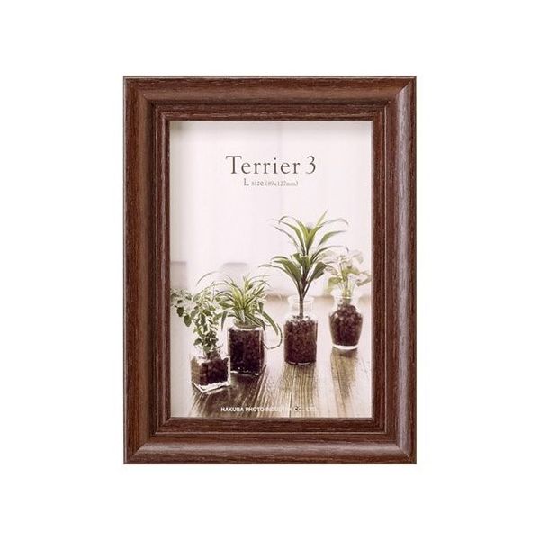 ハクバ写真産業 フォトフレーム テリア3 Lサイズ 1面 ブラウン FWTR3-BRL1 1個 62-9752-60（直送品）