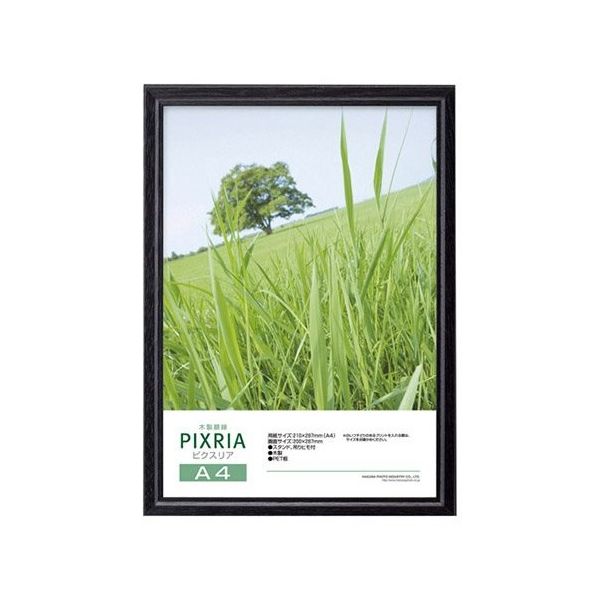 ハクバ写真産業 ピクスリア A4サイズ ブラック FWPX-BKA4 1パック 62-9766-67（直送品）