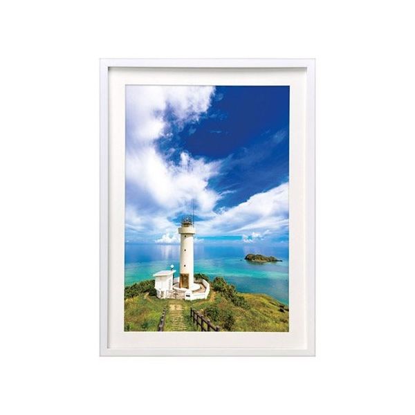 ハクバ写真産業 木製額縁 MMー01 A3ノビサイズ ホワイト FWMM01-WTA3N 1個 62-9754-84（直送品）