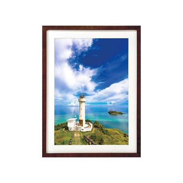 ハクバ写真産業 木製額縁 MMー01 A3サイズ ブラウン FWMM01-BRA3 1個 62-9754-90（直送品）