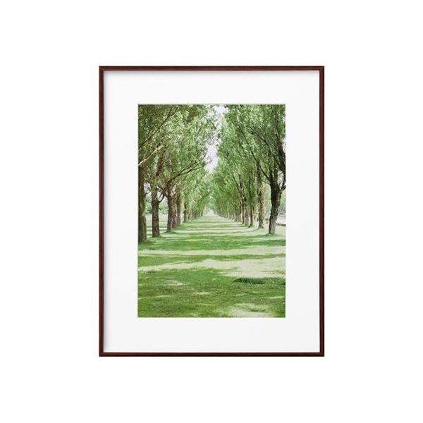 ハクバ写真産業 ZEROフレーム Gー01 A3 ブラウン FZG01-A3BR 1個 62-9759-36（直送品）