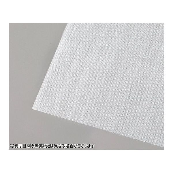 アズワン PTFE42/54メッシュ 目開き325/190μ 糸径300μ 開口率23% 500mm×500mm 65-1857-83 1枚（直送品）