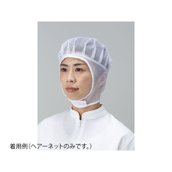 東洋リントフリー ヘアーネット 衿元面ファスナー止め L JZ503C-01 1袋 65-1918-19（直送品）