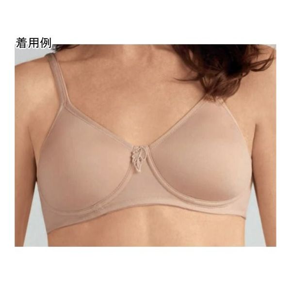 シグマックス 専用下着 ララ 70C 883113 1枚 65-2338-75（直送品）