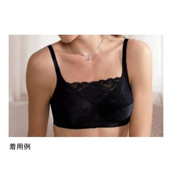 日本シグマックス 専用下着 イサベル ブラック 85B 882142 1枚 65-2339-76（直送品）