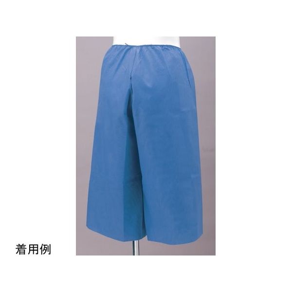 ハクゾウメディカル ハクゾウ穴あきパンツ DBー1 フリーサイズ 1枚入 1780195 1袋(1枚) 65-3748-50（直送品）