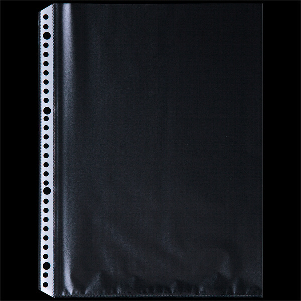 アスクル リング式ファイル用ポケット A4タテ 30穴 薄型 1箱(500枚