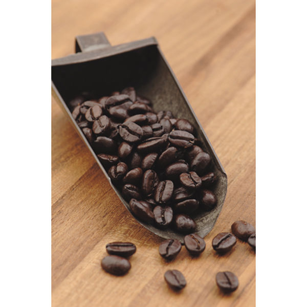 コーヒー豆】スターバックス ハウス ブレンド 1袋（250g・豆） - アスクル
