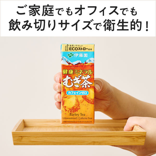 麦茶 紙 販売 パック