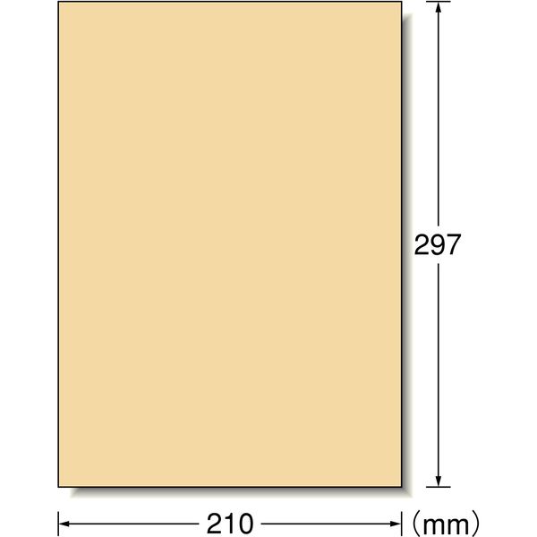 エーワン ラベルシール パッケージラベル プリンタ兼用 クラフト紙 ライトブラウン A4 ノーカット1面 1袋（15シート入） 28497