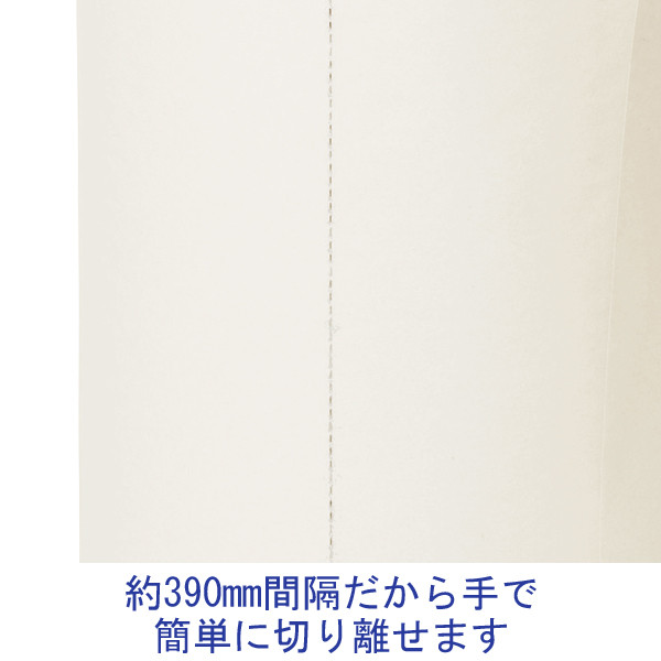 ボーガスペーパー 色指定なし ミシン目あり 幅538mm×長さ350m巻