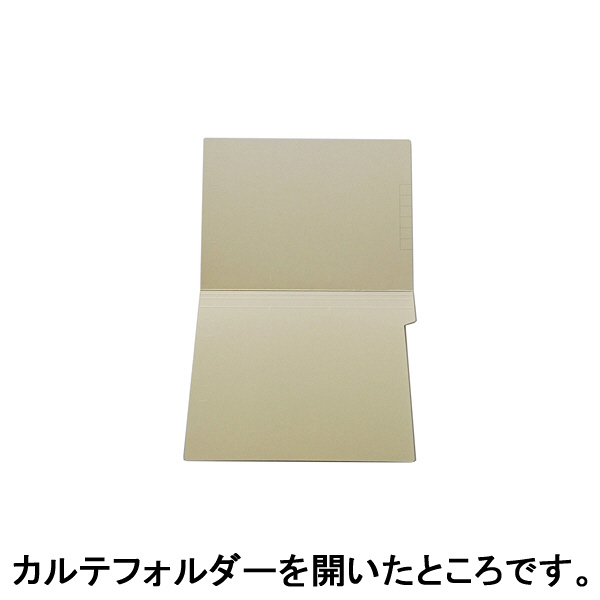 ケルン KS-720 TDカルテフォルダー（見開き/抗菌ケルンボード製） B5