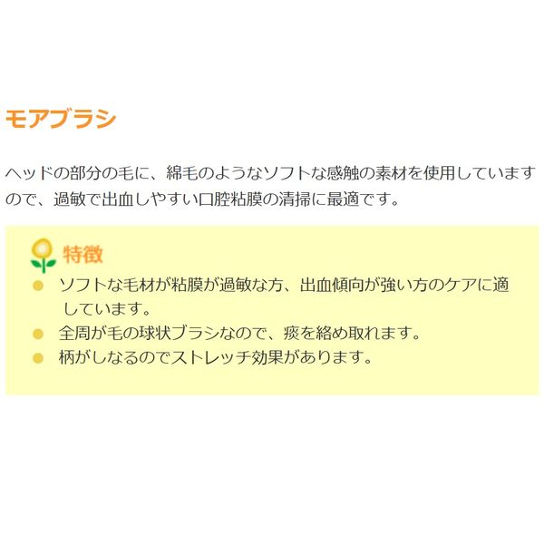 オーラルケア モアブラシ 1セット（12本入） - アスクル