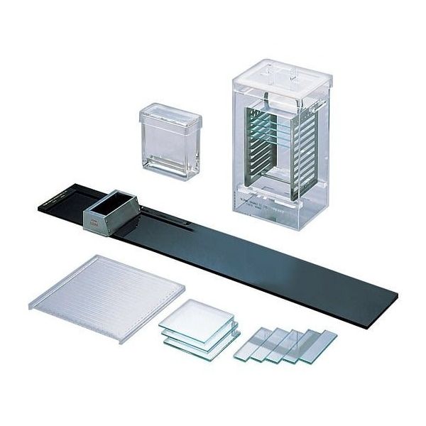アズワン 薄層クロマトグラフィー用貯蔵箱 2-688-08 1個（直送品