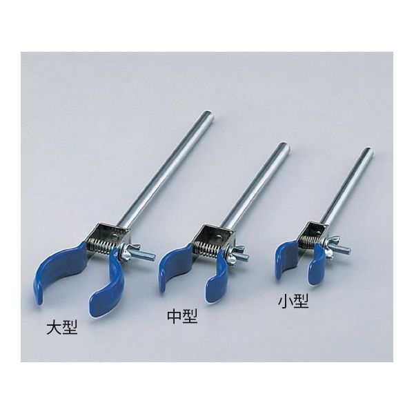 購入不可 チランジア カルビンスキアーナ(クランプ) 初入荷❗ 楽天市場】【最大20％OFFクーポン 11/11（火）9：59まで】ユーラシア