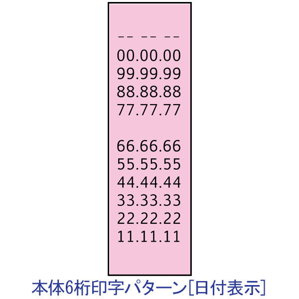 共和　パイロンハンドラベラー　ACE　本体　6D（6桁日付表示）　KA-562　1台