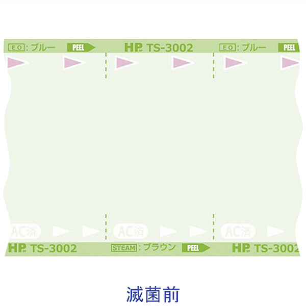 T S様　ご購入ありがとうございます。 滅菌バッグ TS-3004C250 日油技研工業（取寄品） - アスクル