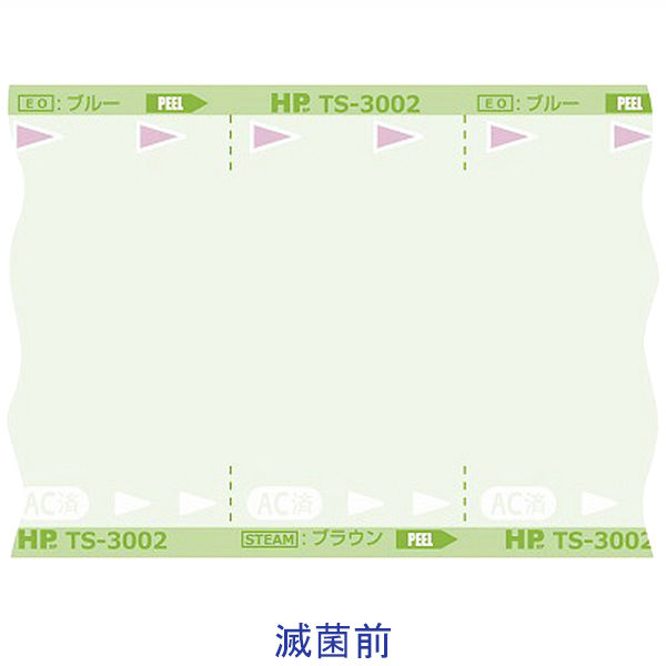 滅菌バッグ TS-3005C350 日油技研工業（取寄品）