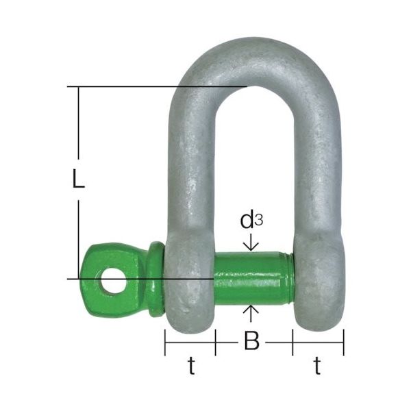 大洋製器工業 大洋 グリーンピンスタンダードシャックル ストレート