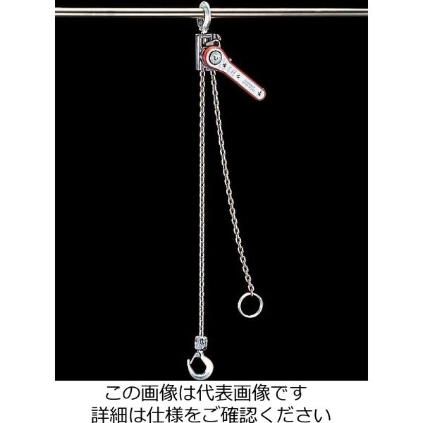 エスコ 100kg レバーホイスト EA988CA-1 1台（直送品）