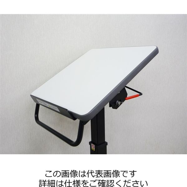 エスコ（esco） 450x 450mm/100kg 昇降作業台（ガスシリンダー式） 1台 EA520XE-1（直送品）