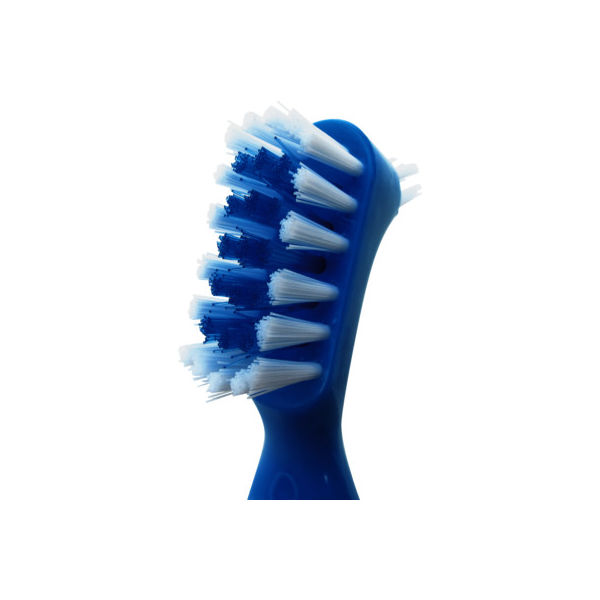 義歯ブラシ 入れ歯ブラシ ブルーブラシ 1555 1本 ビー エス エー