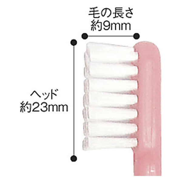 オキナ エクサ歯科用歯ブラシ フラットふつう 1箱（60本入） - アスクル