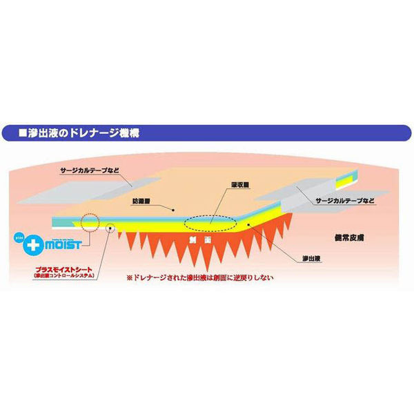 瑞光メディカル プラスモイストV（200×250mm） VA1A 1箱（10枚入