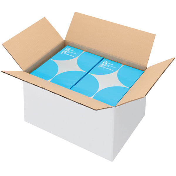 底面A3】【120サイズ】 白ダンボール A3×高さ295mm 1セット（30枚：10