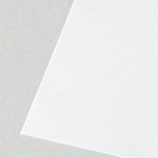 書道半紙 鳩 HATO-5.5-100 1セット（3000枚） 丸石製紙 - アスクル