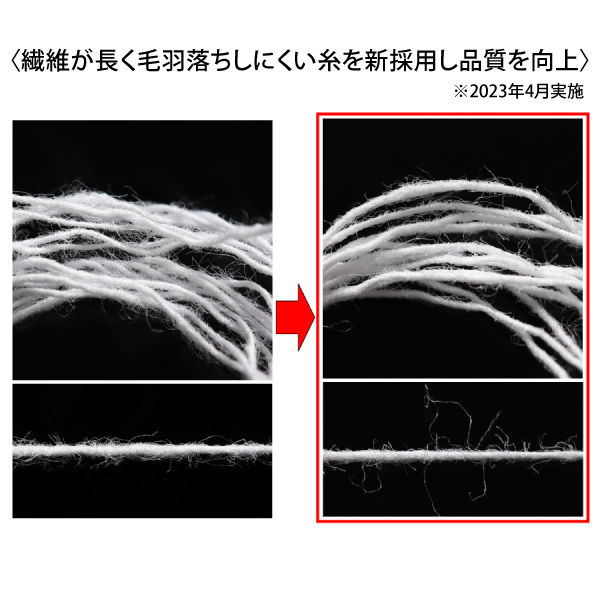 伊藤忠リーテイルリンク 少し厚手のおしぼりタオル ホワイト 1パック