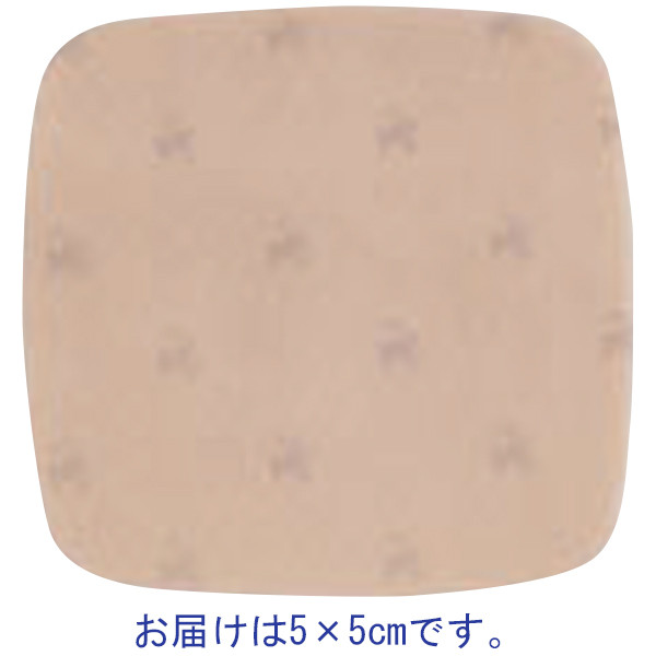 アクアセルAgフォーム非粘着式 5×5cm 09670 1箱（10枚入