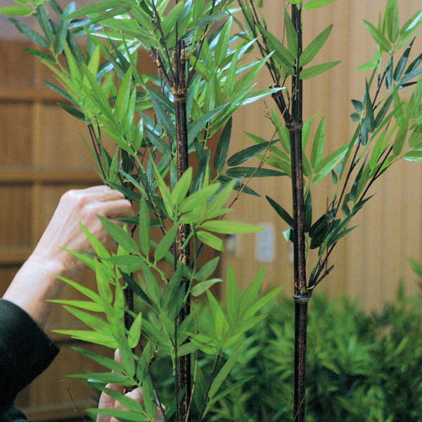 タカショー 人工観葉植物 爽風竹 板付1.5m GD-12L 1個（直送品
