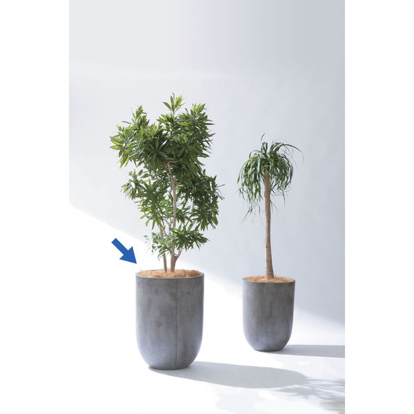 LOOP ループ プランター (大・小セット)