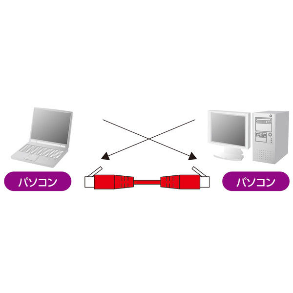 サンワサプライ カテゴリ6UTPクロスケーブル 20m ブルー KB-T6L-20BLCK