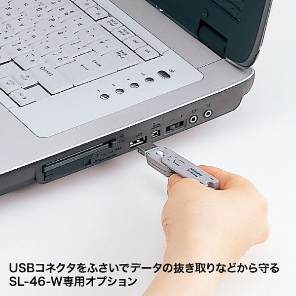 サンワサプライ SL-46-W用取付け部品 SL-46WOP-50 1セット(50個 サンワサプライ SL-46-W用取付け部品 SL-46WOP-50 1セット(50個