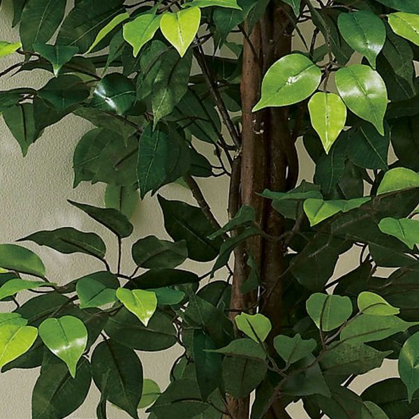 楽天市場】ベンジャミン スターライト 110cm (人工観葉植物 造花