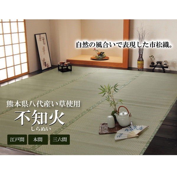 イケヒコ 国産 い草上敷き カーペット 『不知火』 江戸間3畳（約176