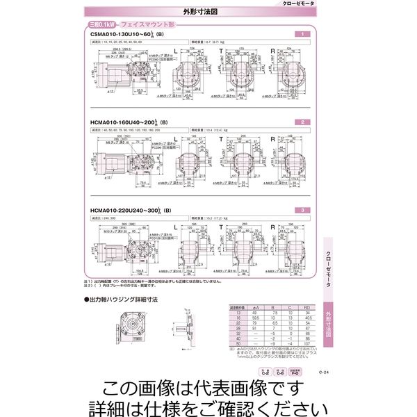 小百合　椿　調整中 商品紹介 - 琉球椿 | 沖縄県産の椿オイルを使用した肌に優しい