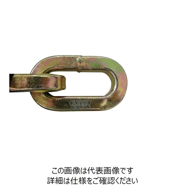 日本ロックサービス 両端小判形状 屈強チェーン 10KSシリーズ 110cm