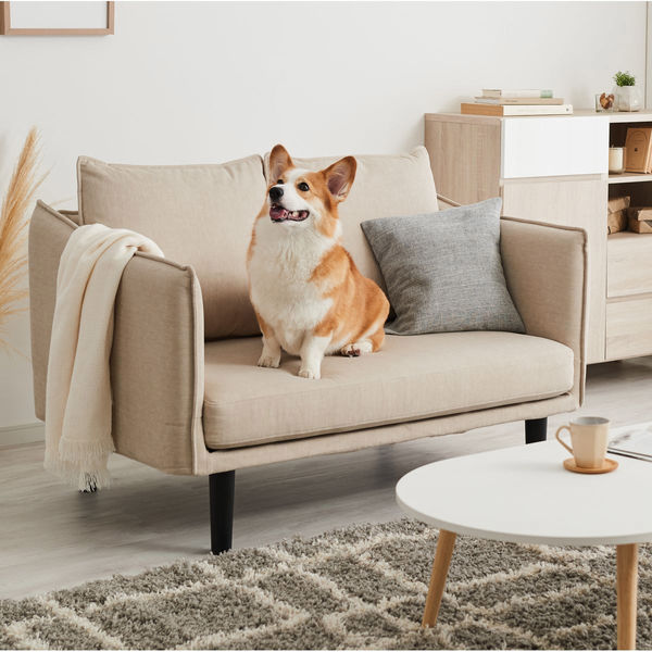 ソファー【引渡し先決定】 軒先渡し】PLC SOFA 幅1240mm ブラウン MYK034-001-BR 1台（直送品