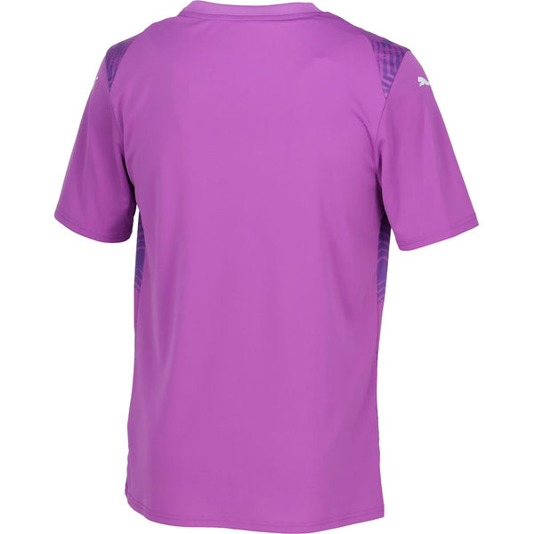 PUMA(プーマ) サッカー ワンポイント TEAMULTIMATE グラフィック