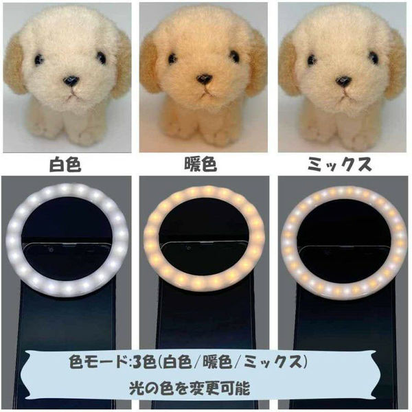 天月 リングライト 6個 わざとらしく