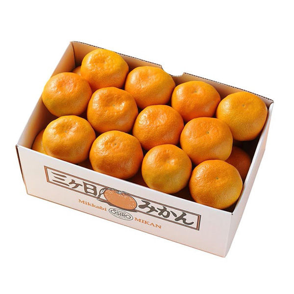 フルーツワールド 【お歳暮】静岡県産 三ヶ日みかん[2.5kg] fw-mib2.5k