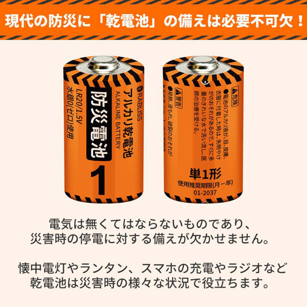 防災 乾電池 単1形 10本入 1箱 アルカリ乾電池 単1電池 電池 12年保存