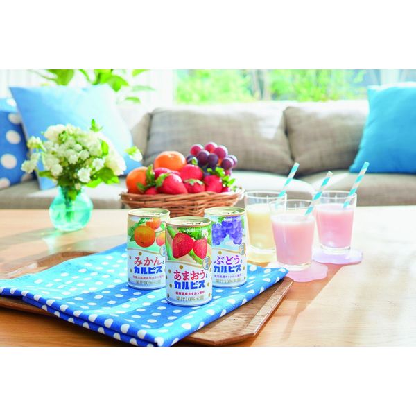 CALPIS カルピス カルピスギフトセット 国産果実とくだもの - ソフト