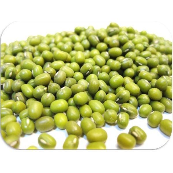 アサヒ食品工業　緑豆 1kg 中国産　20151　1袋（直送品）