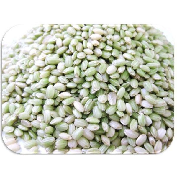 アサヒ食品工業　米こうじ 1kg 国内産　20893　1袋（直送品）