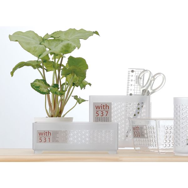 イノマタ化学 #4531 ウィズ 531(長角) クリアーナチュラル 1個（直送品